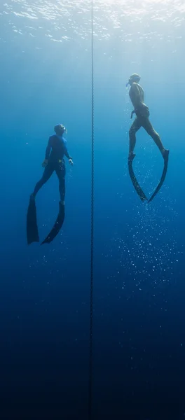 Freedivers — Zdjęcie stockowe