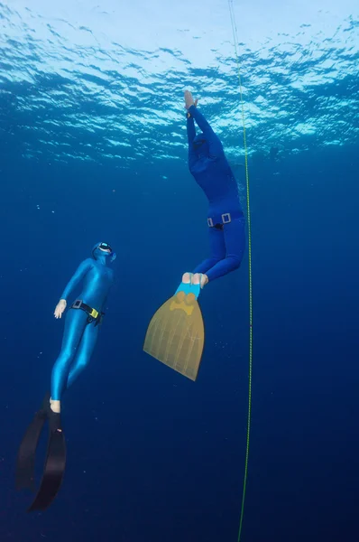 Volný potápěč — Stock fotografie