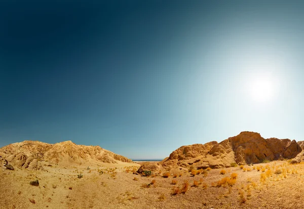 Deserto — Fotografia de Stock