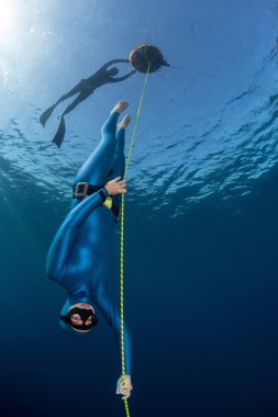 Freediver