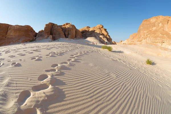 Deserto — Fotografia de Stock