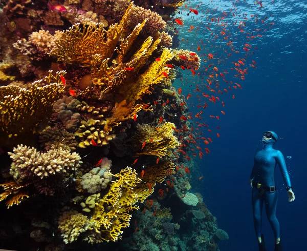 Freediver — Zdjęcie stockowe