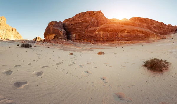 Desierto — Foto de Stock