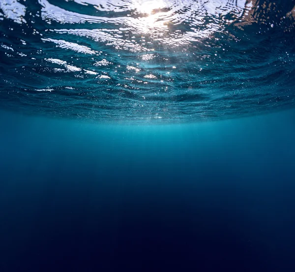 Kızıl Deniz