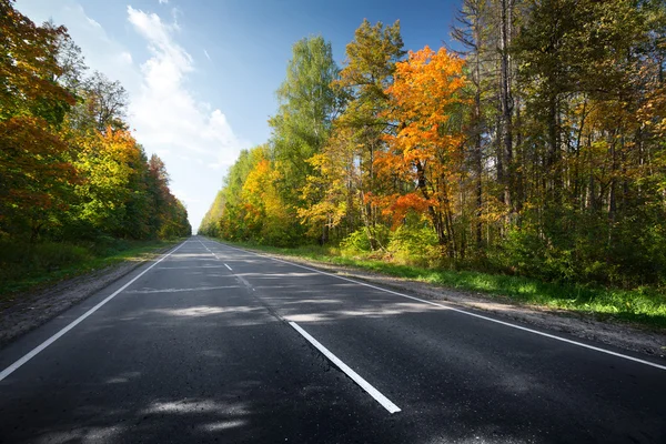 Höstens road — Stockfoto