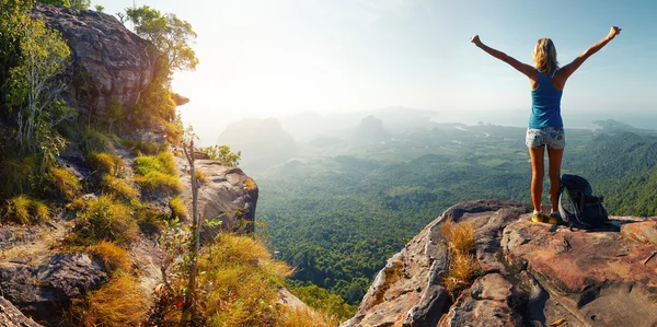 Wanderer auf dem Felsen — Stockfoto