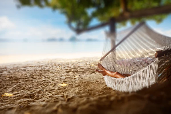 Hammock — Stock Photo, Image