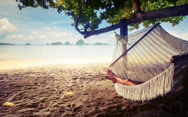 Hammock — Stock Photo, Image