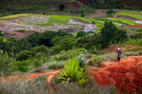 Madagáscar — Fotografia de Stock