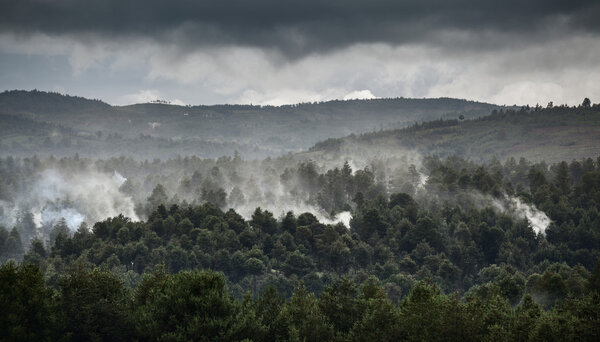Мадагаскар

