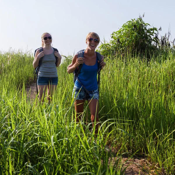 Wandelaars — Stockfoto