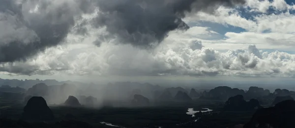 熱帯雨林 — ストック写真