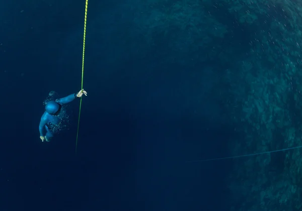 FREEDIVER —  Fotos de Stock