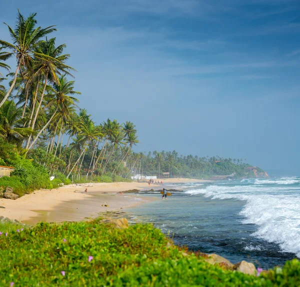 斯里兰卡 — 图库照片