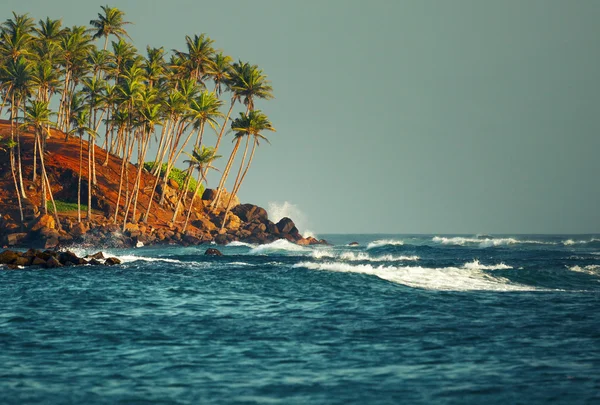 Σρι Λάνκα — Φωτογραφία Αρχείου