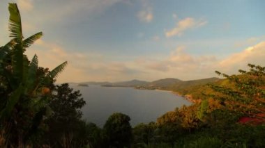 tropikal kıyı şeridi