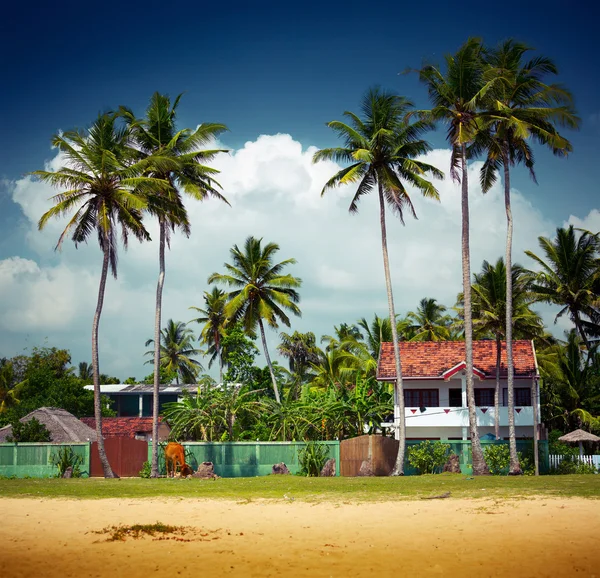 Sri Lanka — Photo