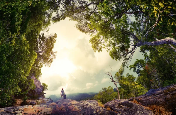 Wanderer auf dem Felsen — Stockfoto