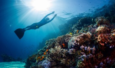 Bayan freediver su altında kayma