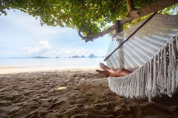 Hammock — Stock Photo, Image