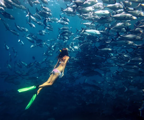 Volný potápěč a ryby — Stock fotografie