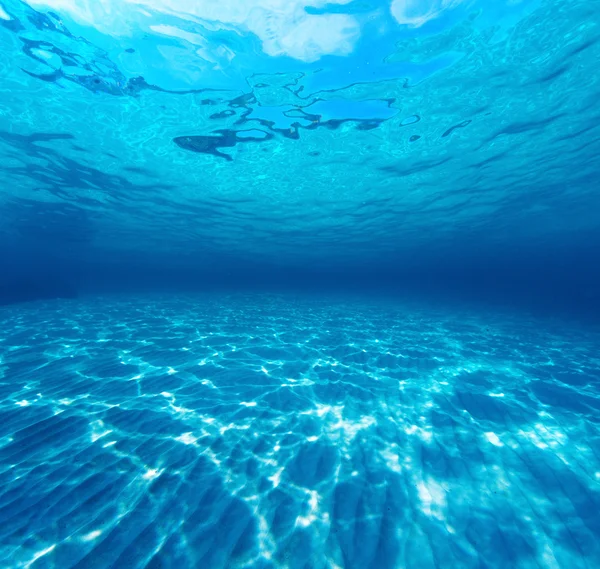 Underwater skott av sandiga havsbotten — Stockfoto