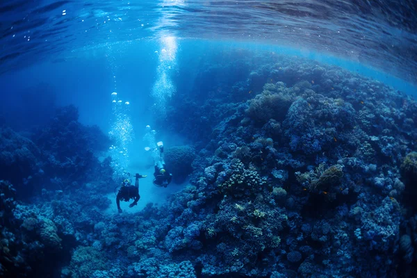 Divers underwater — Stock Photo, Image