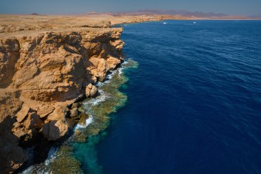 Red Sea coastline clipart
