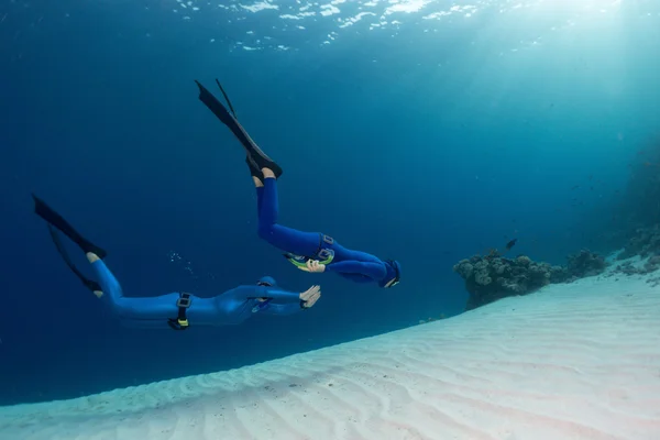 Freedivers in the sea — Stock Photo, Image