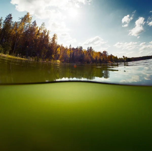 Pond with sky — Stock Photo, Image