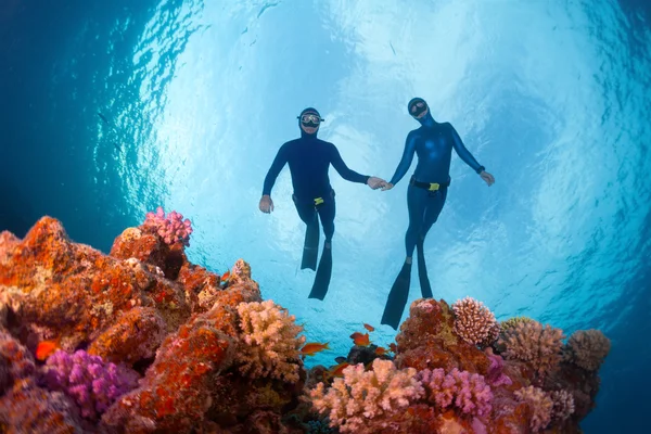 Freedivers — Stockfoto