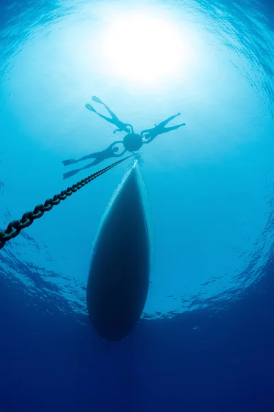 Les plongeurs dans la mer — Photo