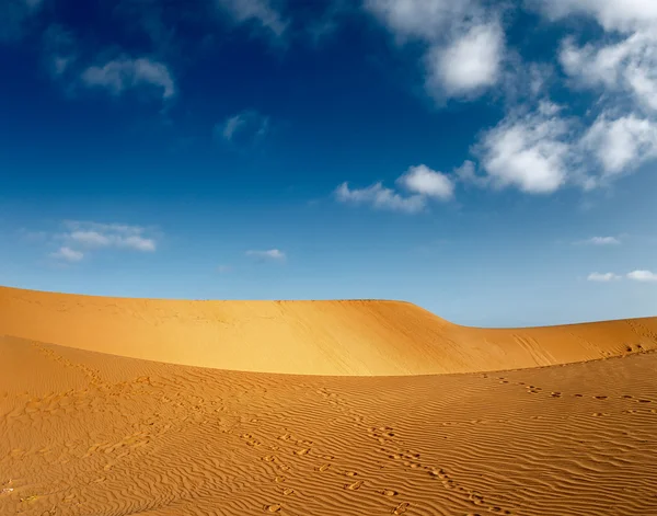 Deserto — Fotografia de Stock