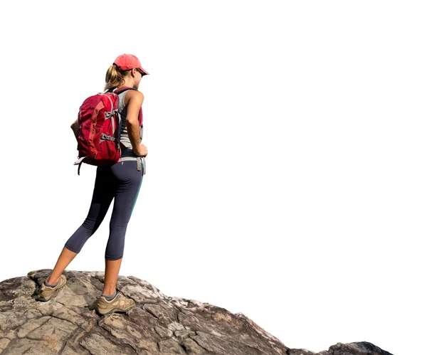 Wanderer auf dem Felsen — Stockfoto