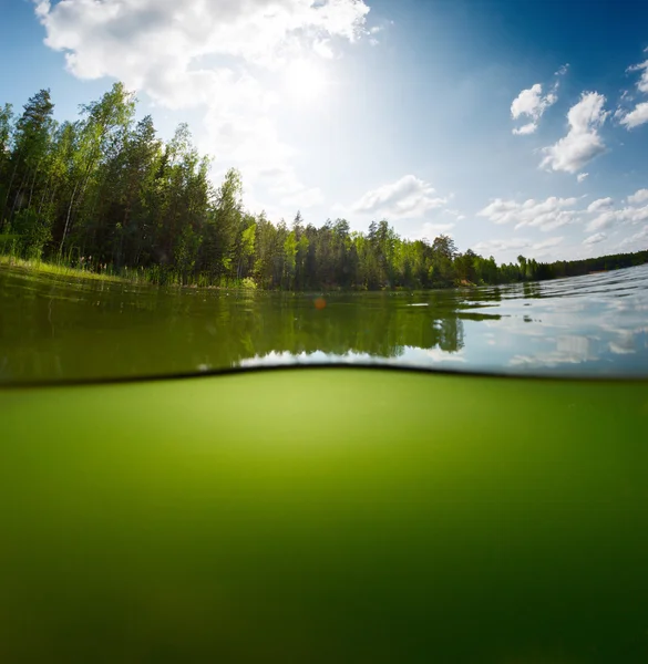 绿色池塘 — 图库照片
