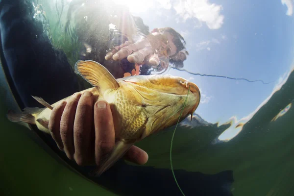Fisherman with fish — Stock Image Fisherman with fish Royalty Free Stock Photos