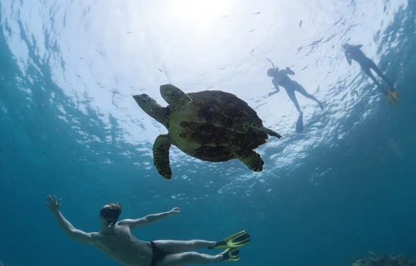 Snorkeling — Stock Photo, Image