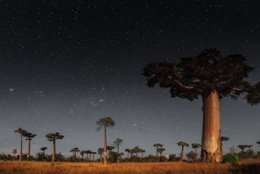 Madagaskar