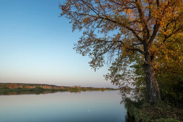 Autumn — Stock Photo, Image