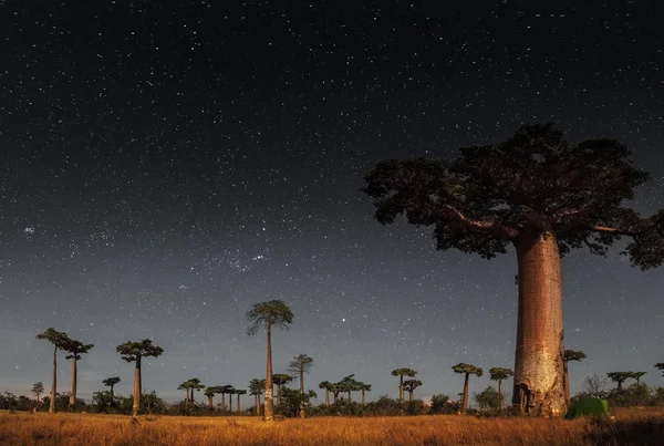 Madagascar — Foto de Stock