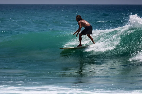 Surfista sulla tavola — Foto Stock
