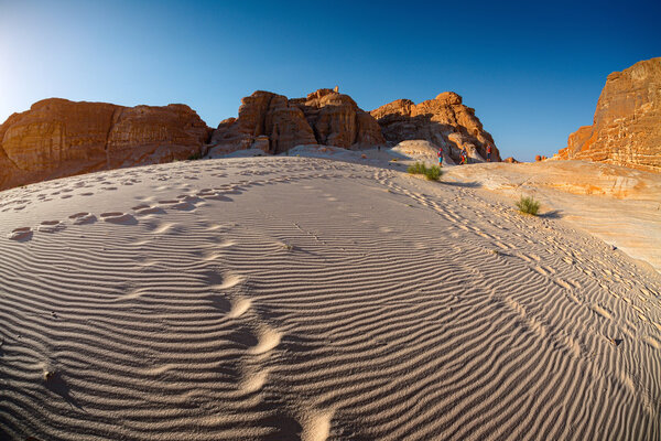 Desert with dunes