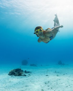 Aletli dalış okyanus