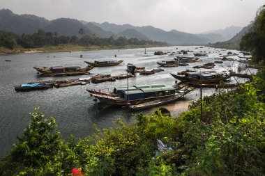 Vietnam botları