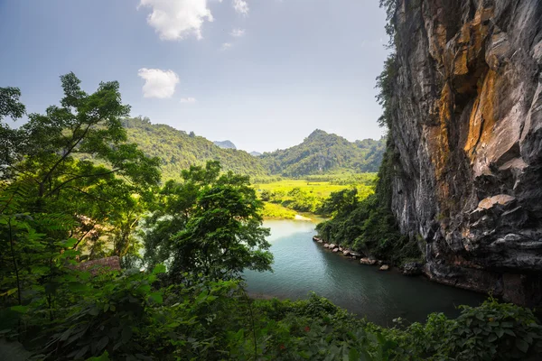 River in the park — Stock Photo, Image