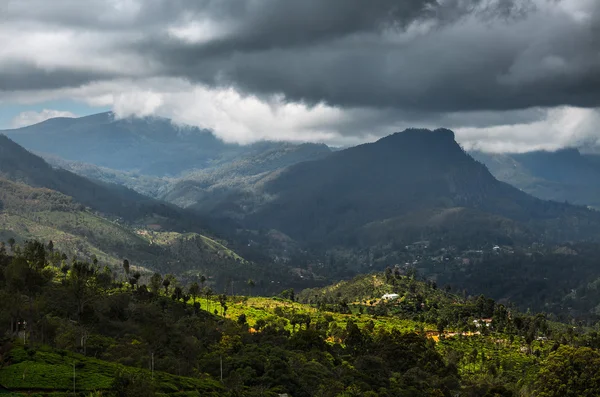 Sri Lanka island — Stock Photo, Image