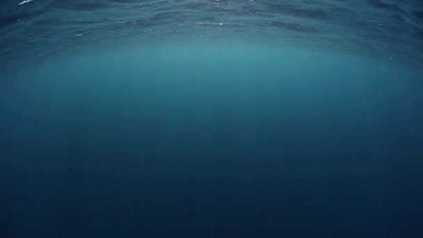 Underwater view of the sea — Stock Video