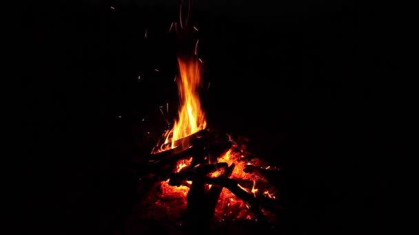 夜晚的篝火 — 图库视频影像