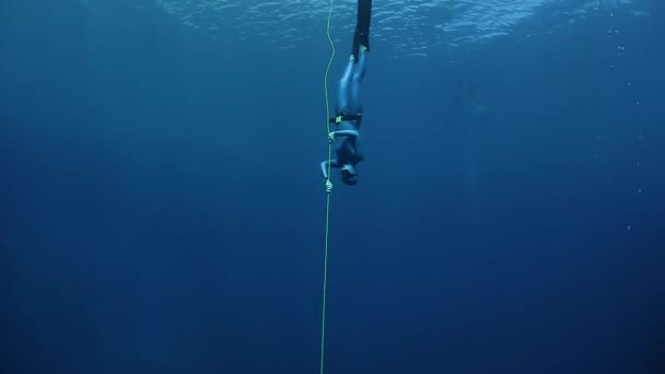 Mergulhadores livres no mar — Vídeo de Stock