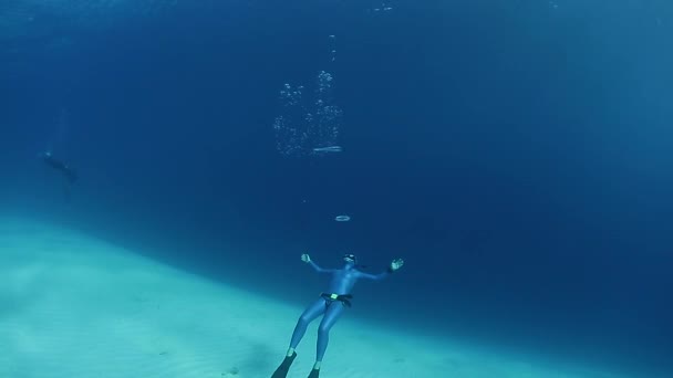 Buceador libre en el mar — Vídeos de Stock
